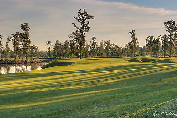 TPC Louisiana #16