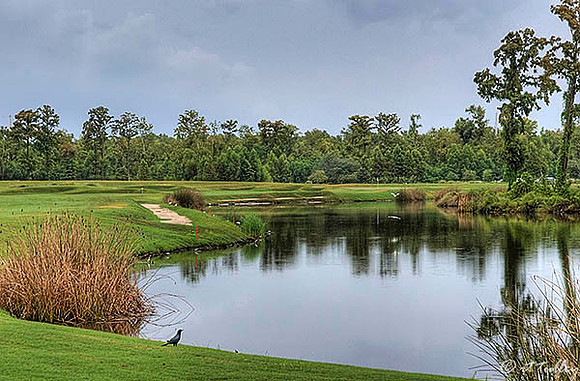 TPC Louisiana #18