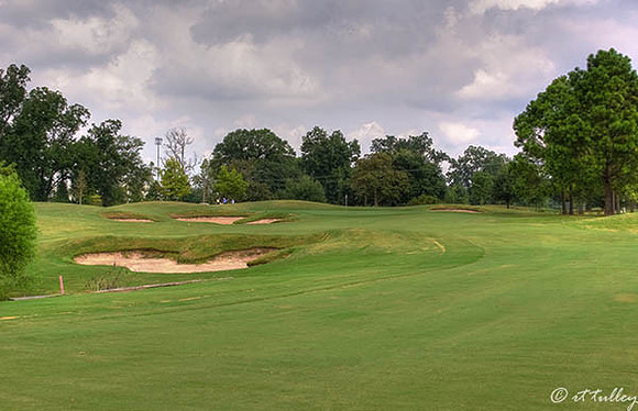 Oakwing GC #18