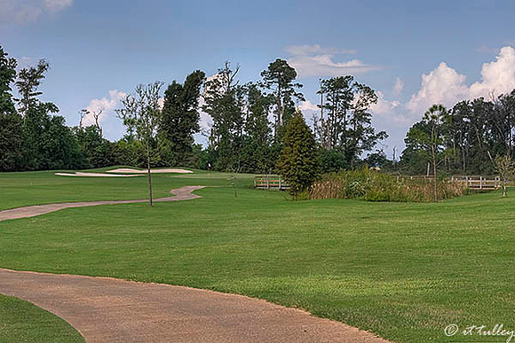 Gray Plantation #4