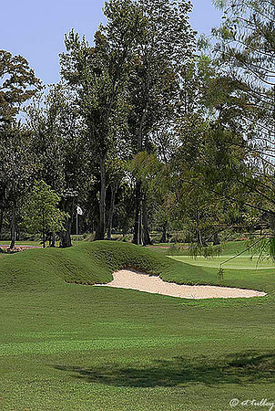 TPC Louisiana #8