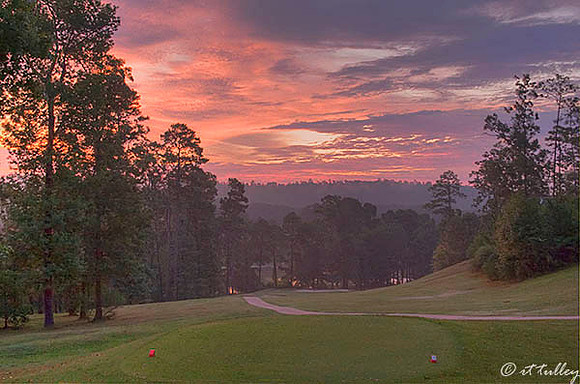 Cypress Bend #10