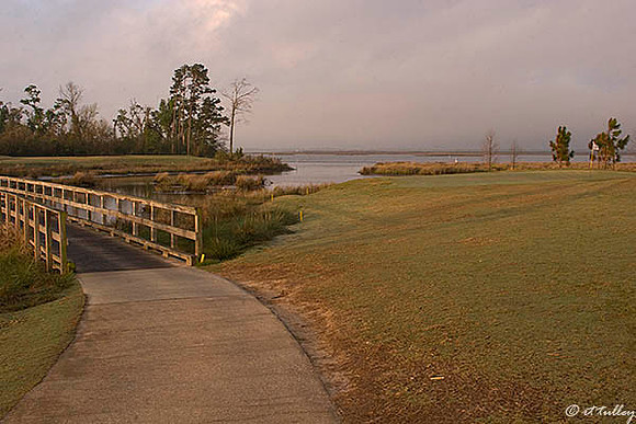 Gray Plantation #6