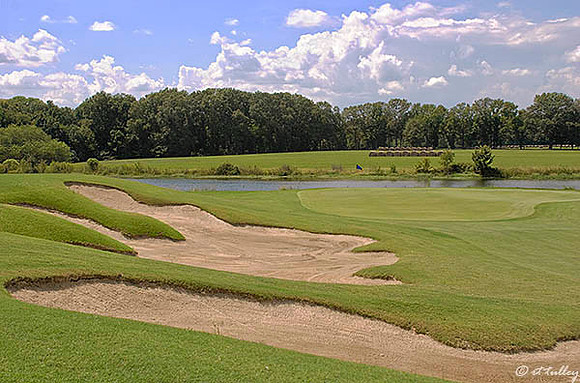 Black Bear GC #3