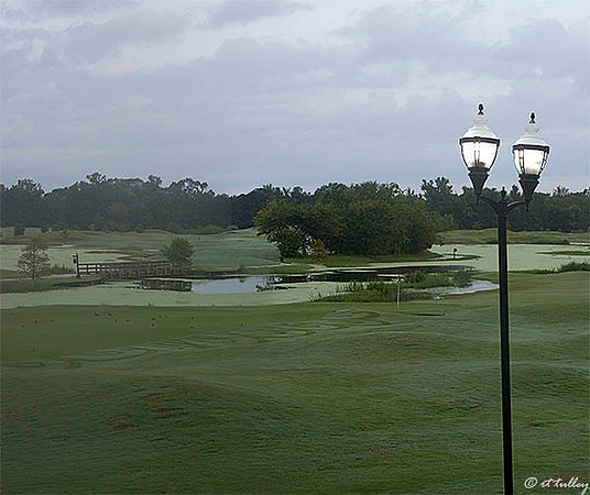 Atchafalaya #9,#18 greens