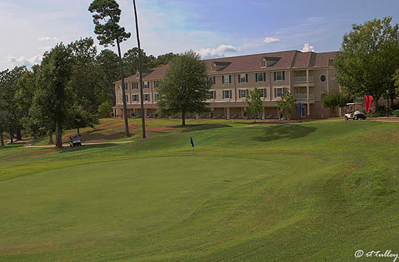 Cypress Bend #18