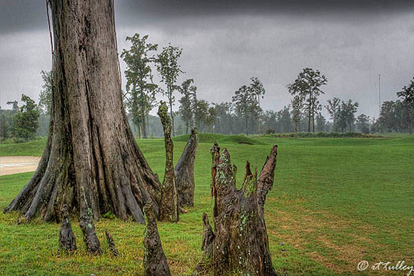 TPC Louisiana #13
