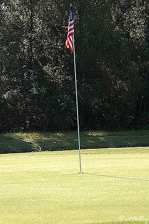 TPC Louisiana Practice Green
