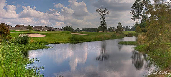 Gray Plantation #8 Panorama