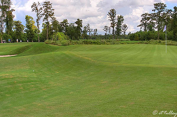 TPC Louisiana #7