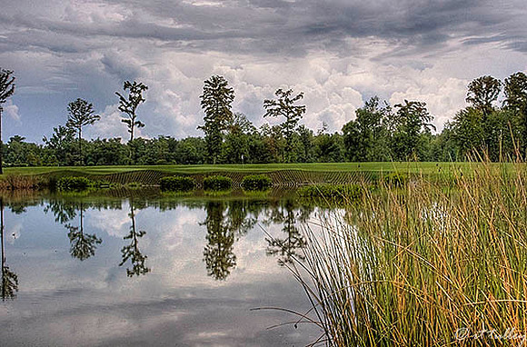 TPC Louisiana #9