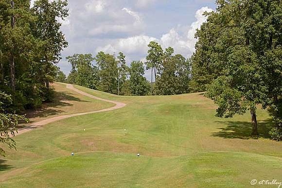 Cypress Bend #12